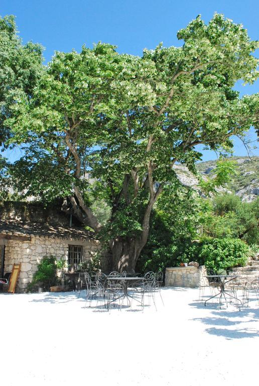 Bastide De La Lezardiere Fontaine-de-Vaucluse Zewnętrze zdjęcie